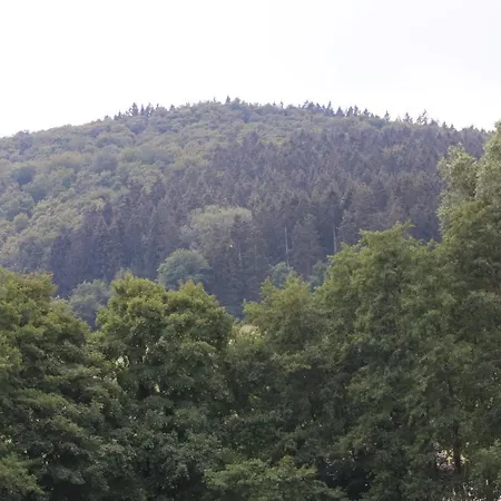 Orketal Gasthof Medebach