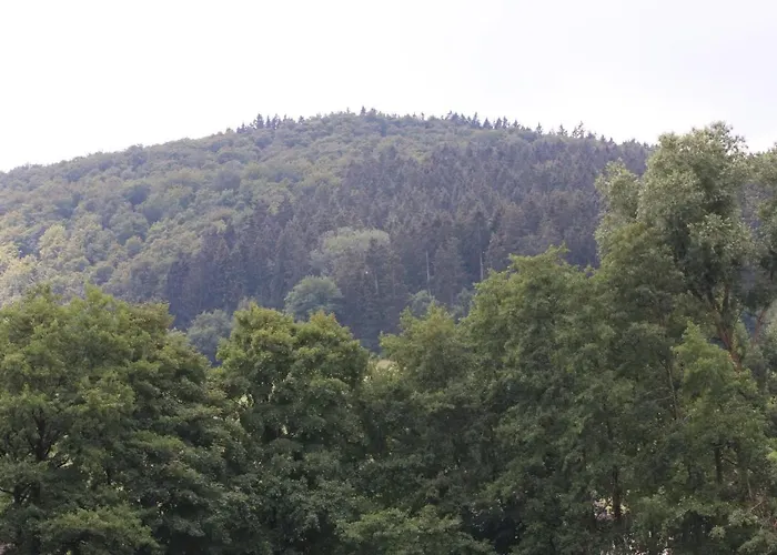 Orketal 招待所 梅德巴赫